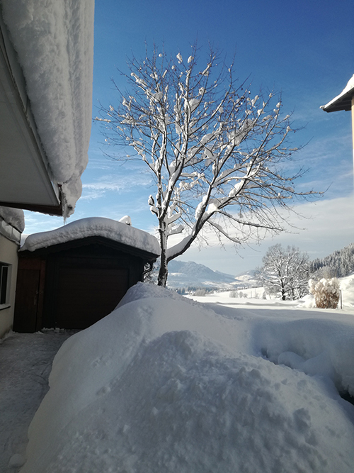 Winter in Westendorf 2019
